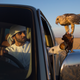 Illustration for article titled Falconers in Abu Dhabi Train Their Raptors With Drones